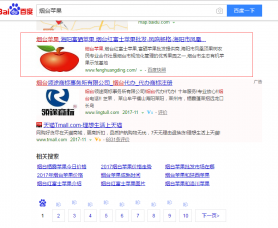 部分關鍵詞優化案例