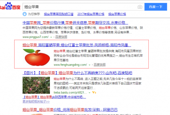 鳳鳴楊格蘋果關鍵詞優化案例