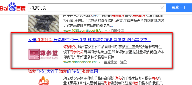 網站優化效果